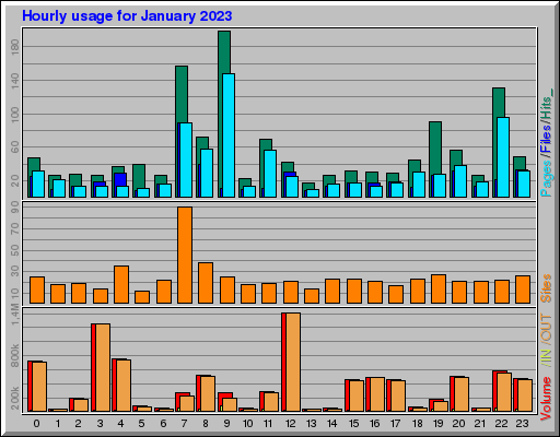Raport Godzinowy -  styczeń 2023