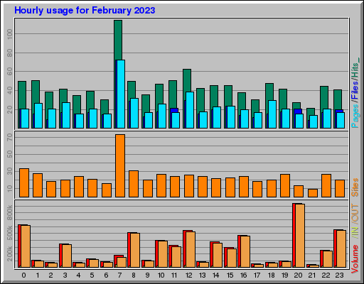 Raport Godzinowy -  luty 2023