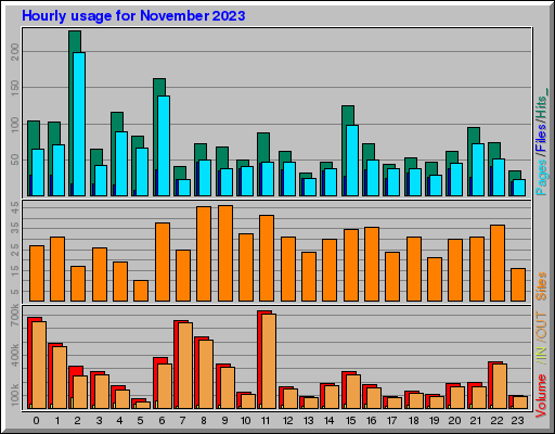 Raport Godzinowy -  listopad 2023