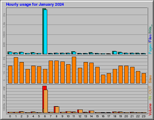 Raport Godzinowy -  styczeń 2024