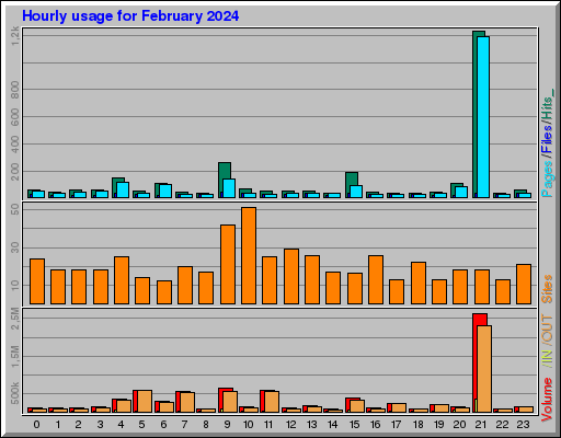 Raport Godzinowy -  luty 2024