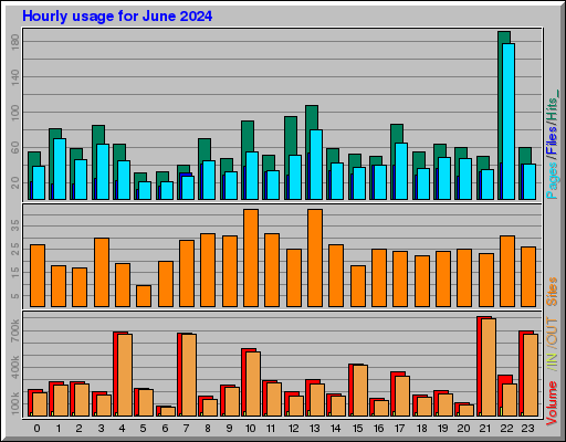 Raport Godzinowy -  czerwiec 2024