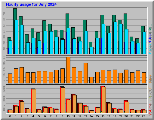 Raport Godzinowy -  lipiec 2024