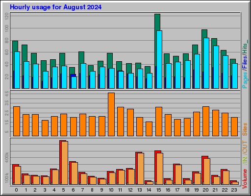 Raport Godzinowy -  sierpień 2024