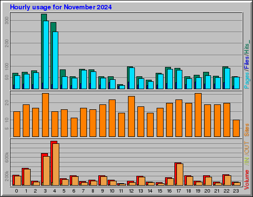 Raport Godzinowy -  listopad 2024