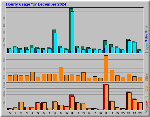 Raport Godzinowy -  grudzień 2024