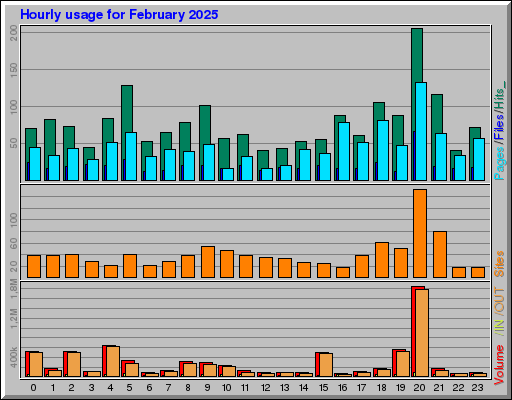 Raport Godzinowy - luty 2025 Raport Godzinowy - luty 2025