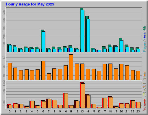 Raport Godzinowy -  Maj 2025