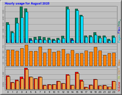Raport Godzinowy -  sierpień 2025