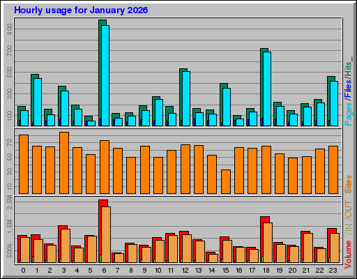 Raport Godzinowy -  styczeń 2026