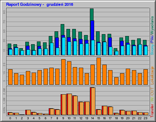 Raport Godzinowy -  grudzień 2016