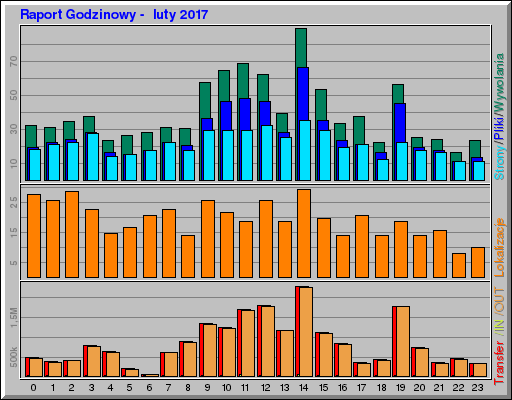 Raport Godzinowy -  luty 2017
