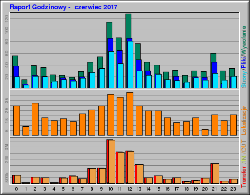Raport Godzinowy -  czerwiec 2017