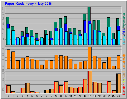 Raport Godzinowy -  luty 2018