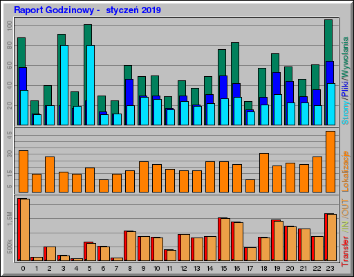Raport Godzinowy -  styczeń 2019