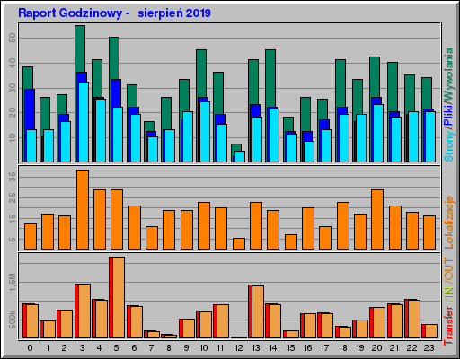 Raport Godzinowy -  sierpień 2019