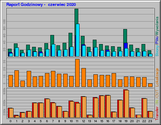 Raport Godzinowy -  czerwiec 2020
