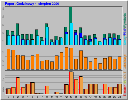 Raport Godzinowy -  sierpień 2020