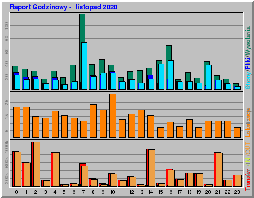 Raport Godzinowy -  listopad 2020
