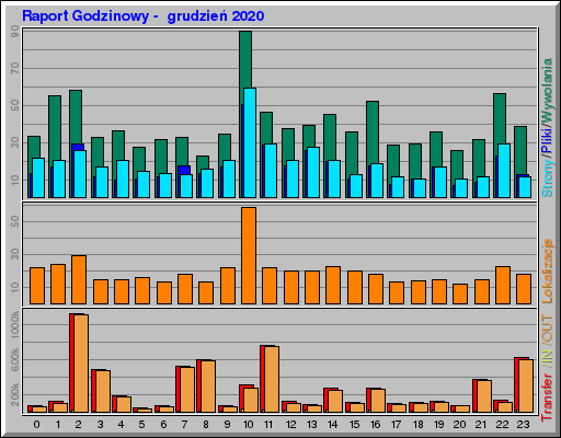 Raport Godzinowy -  grudzień 2020