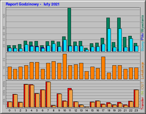 Raport Godzinowy - luty 2021 Raport Godzinowy - luty 2021