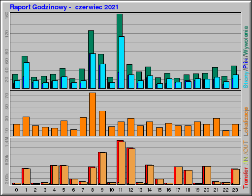 Raport Godzinowy - czerwiec 2021 Raport Godzinowy - czerwiec 2021