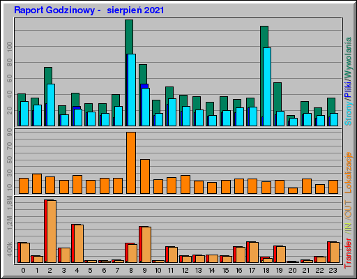 Raport Godzinowy -  sierpień 2021