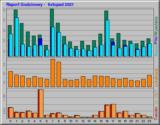Raport Godzinowy - listopad 2021 Raport Godzinowy - listopad 2021