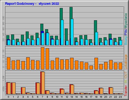 Raport Godzinowy -  styczeń 2022
