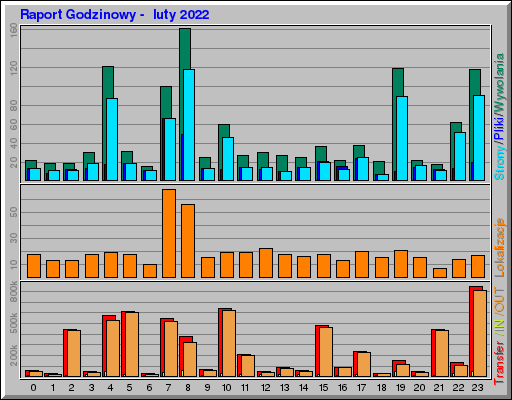 Raport Godzinowy -  luty 2022