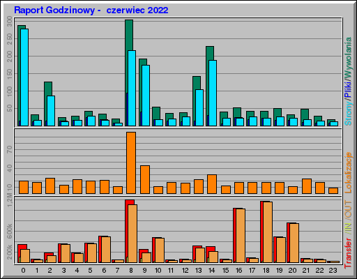 Raport Godzinowy -  czerwiec 2022
