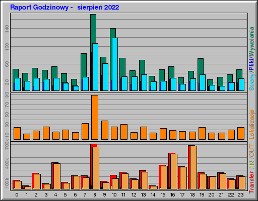 Raport Godzinowy -  sierpień 2022