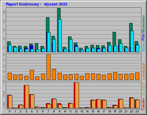 Raport Godzinowy - styczeĹ 2023 Raport Godzinowy - styczeĹ 2023