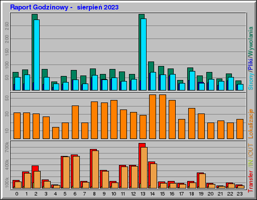 Raport Godzinowy -  sierpień 2023