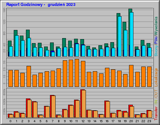 Raport Godzinowy -  grudzień 2023