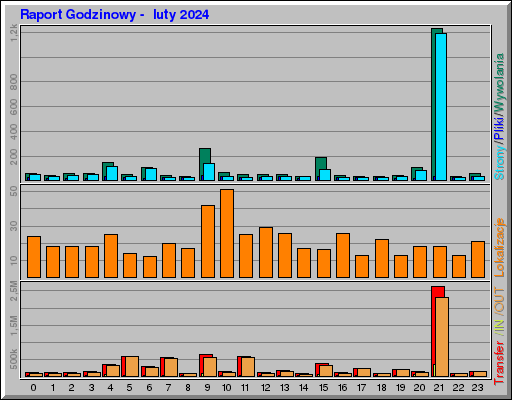 Raport Godzinowy - luty 2024 Raport Godzinowy - luty 2024