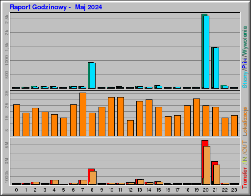 Raport Godzinowy -  Maj 2024