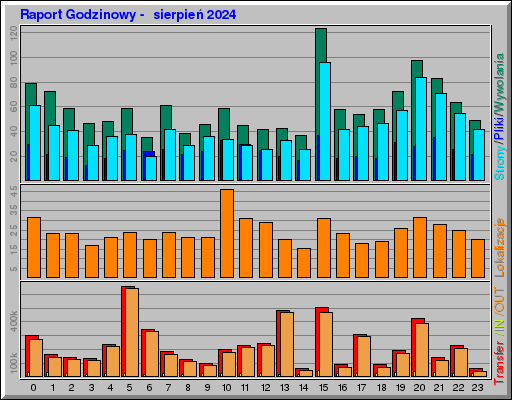 Raport Godzinowy -  sierpień 2024