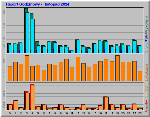 Raport Godzinowy -  listopad 2024