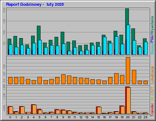Raport Godzinowy -  luty 2025