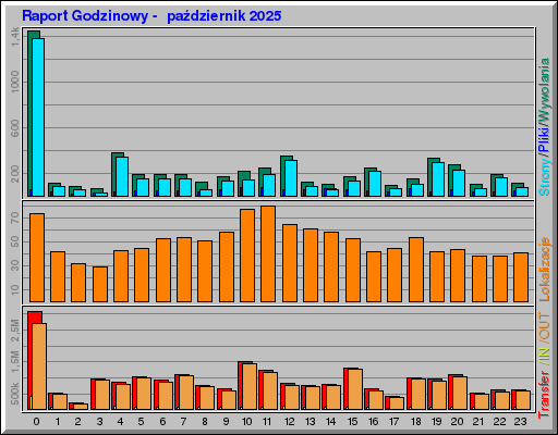 Raport Godzinowy -  październik 2025