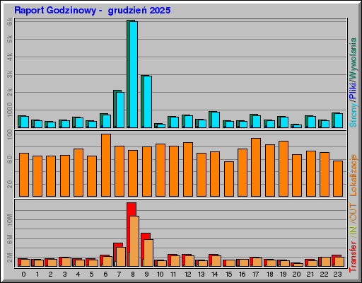 Raport Godzinowy - grudzieĹ 2025 Raport Godzinowy - grudzieĹ 2025